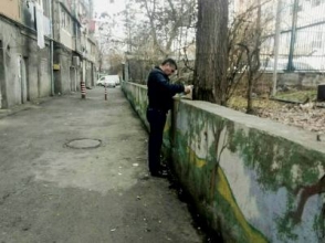 Երևանում անհայտ անձը անցքեր է բացել ծառի բնամասում և լցրել դրանք անհայտ ծագման հեղուկով